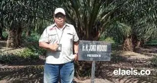Sikapi Dugaan PKS Buang Limbah Sembarangan, Apkasindo Jambi Minta DLH Lebih Teliti