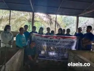 Masyarakat Talang Langkat di Inhu Genjot Program Ketahanan Pangan