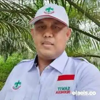 Ketersediaan Bibit Unggul Dukung Produksi Kebun Kelapa Sawit