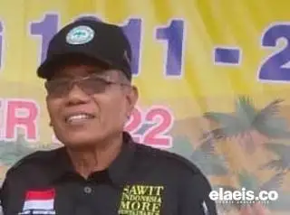 Pentingnya Embung dalam Kebun Kelapa Sawit di Lahan Gambut