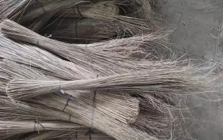 Lidi Sawit Dapat Menjadi Sumber Pendapatan yang Signifikan bagi Petani Kelapa Sawit
