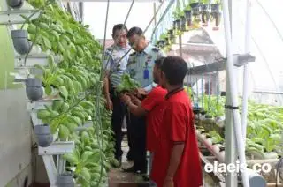 Sipir Rutan IIB Rengat Berhasil Bina Warga  Binaan Budidaya Tanaman Hidroponik
