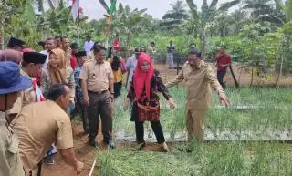 Ajak Petani Sawit Tanam Bawang Merah, Bupati Mian: Warga Desa Arga Mulya Sudah Buktikan