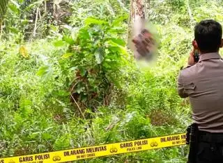 Ditemukan Tergantung Oleh Tukang Panen Sawit, Nover Diduga Terbelit Masalah ini