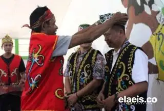 Dua Penghargaan untuk Kayung