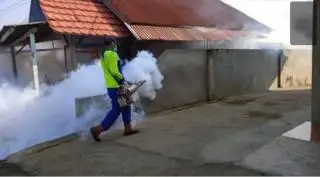 20 Warga Terjangkit DBD, Pelepah Sawit Salah Satu Biangnya