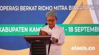 Stagnan dalam 5 Tahun Terakhir, Gapki Genjot Peremajaan Sawit di Indonesia