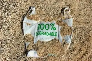 Ternyata, Minyak Sawit Bisa Jadi Bahan Baku Plastik Biodegradable