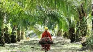 Musdes Desa Ini Sepakati 4 Item Pembangunan untuk 2024, Salah Satunya Rabat Beton ke Kebun Sawit