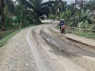 Jalan Cahaya Negeri Belum 'Dipoles' Habis, Akses Petani Sawit Terganggu