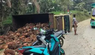 Cegah Kecelakaan, Angkutan TBS Sawit Diingatkan Patuhi Aturan Beban