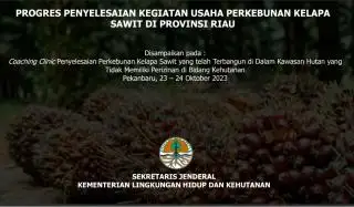 KLHK: 3,37 Juta Hektar Kebun Sawit di Kawasan Hutan