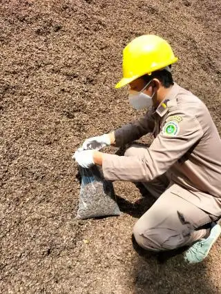 Sebanyak 3.100 Ton Cangkang Kelapa Sawit dari Bangka Belitung Akan Dikirim ke Jambi