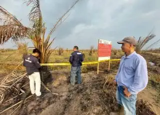 49 Lokasi Karhutla Disegel oleh KLHK, Termasuk yang Dikuasai 8 Perusahaan Asing