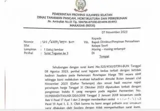 Cerita Sederet Pabrik Sawit Pembangkang di 'Bumi Anging Mammirik'