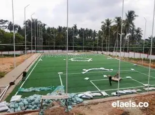 Alokasi Pupuk Jauh Berkurang Seiring Dikeluarkannya Sawit dari Komoditas Penerima Subsidi
