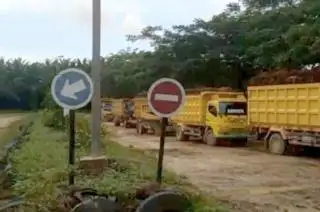 Masuk Musim Penghujan, Produksi Meningkat, Harga Sawit Juga Naik di Kukar