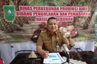 Bursa CPO Belum Jadi Acuan Penetapan Harga TBS Sawit
