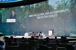Presiden Jokowi Beberkan Langkah Indonesia Capai Net Carbon Sink dan NZE 2060