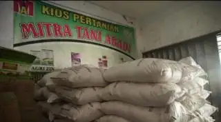 Alokasi Pupuk Subsidi Ditambah, Jatahnya untuk Petani Kategori ini