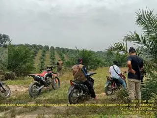 KUD Bukit Jaya di Dharmasraya kembali Ajukan Bantuan ke BPDPKS, Kali Ini Pupuk!