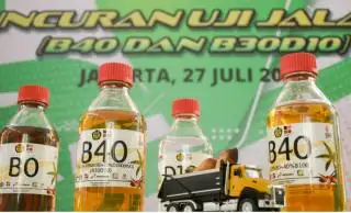 Ekspor Biodiesel RI Anjlok Hingga 70%, ini Biang Keroknya