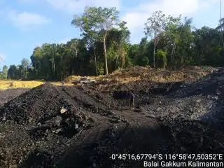 Sawit Belum Bisa Patahkan Dominasi Batu Bara di Kalteng