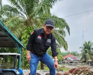 Harga Sawit Mitra Diprediksi akan Terus Naik