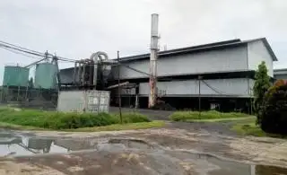 PKS di Mukomuko Tetapkan Jadwal Libur Lebaran: Petani Disarankan Atur Jadwal Panen Sawit