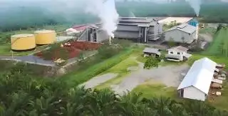 Gapki Bengkulu Dorong Perusahaan Sawit Urus ISPO