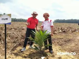 Petani Aspek-PIR Selalu Nikmati Harga Penetapan Disbun