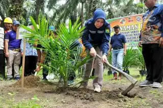 Belasan Lembaga Pekebun Sawit Mau Dikumpulkan Pemkab Inhu, ini yang akan Dibahas