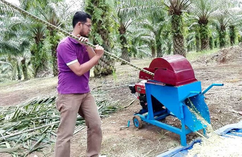 Ihsan Hasibuan Berhasil Racik Pakan Ternak Bergizi dari Limbah Sawit