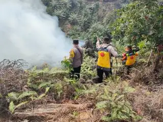 Kebakaran Kebun Sawit dan Semak di Rohul Berhasil Dipadamkan