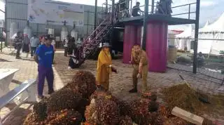 Pabrik Minyak Goreng Dikelola KUD, Petani Sawit Diharapkan Makin Sejahtera