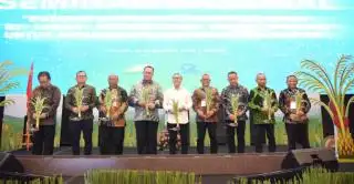 Dukung Swasembada Beras, IPB University Luncurkan Intercropping Padi Gogo di Lahan Peremajaan Sawit