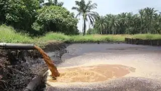 Indonesia Butuh Regulasi Pemanfaatan Limbah Cair Pabrik Sawit