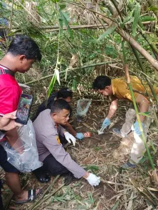 Ditemukan Tengkorak Manusia di Kebun Sawit, Warga Sekitar Tak Ada yang Kehilangan Keluarga