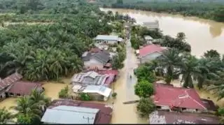 260 Hektar Kebun Sawit di Gunung Sahilan Terendam Banjir