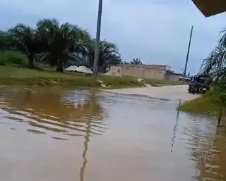 Hujan, Jalur Angkutan Sawit di 4 Desa di Kampar Terganggu Banjir Musiman