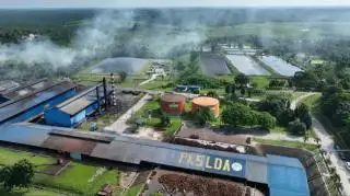 100 Persen RSPO, PTPN IV Regional III Rambah Sertifikasi IP Segregasi