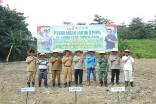 Genjot Produksi Jagung, Polres Inhu Gandeng Sejumlah Korporasi Sawit