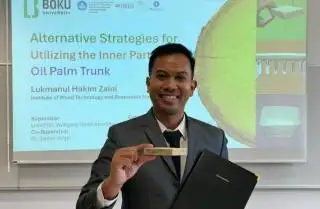 Dosen IPB Kembangkan Nanomaterial dari Batang Sawit, Berguna untuk Sektor Konstruksi