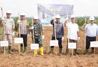 Punya Lahan PSR Terluas di Indonesia, OKI Genjot Tumpang Sari Padi Gogo
