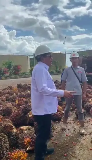 Pabrik Sawit di Bengkulu Diultimatum Beli TBS Sesuai Ketetapan Pemerintah
