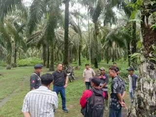 SPKS Dorong Pebisnis Jerman Serap Minyak Sawit Berkelanjutan Indonesia