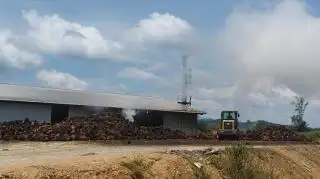 Kerjasama Dengan 6 Poktan, PKS Mini PT ISG Sudah Produksi 20 Ton CPO/Hari