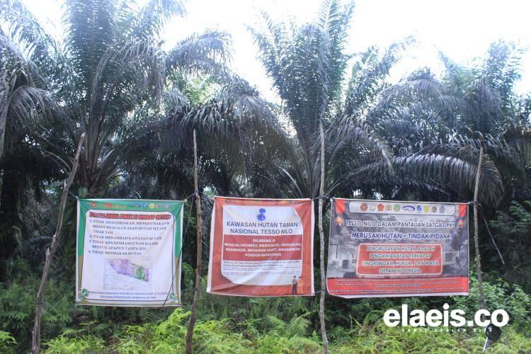 Gapki Minta Pemerintah Segera Pastikan Status Lahan Sitaan PKH