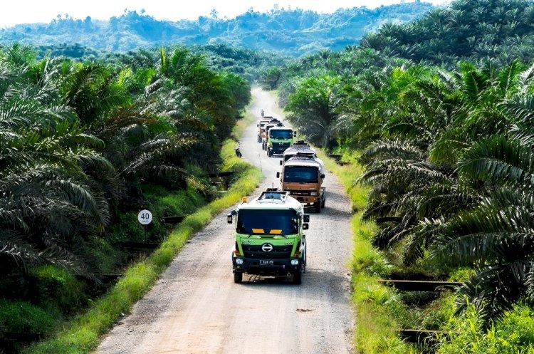 Sawit Dituduh Boros Air, Padahal Tanaman Minyak Lain Lebih Haus
