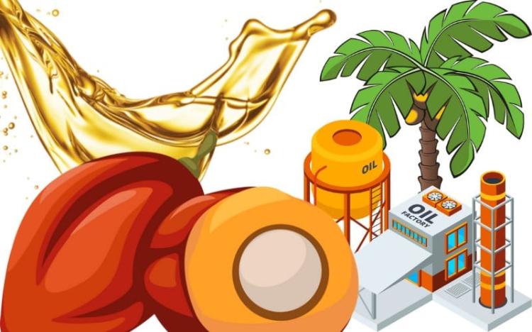 Lengkap! Begini Perjalanan Harga CPO Sepanjang 2025